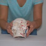 Osteopathie Beispiele 09